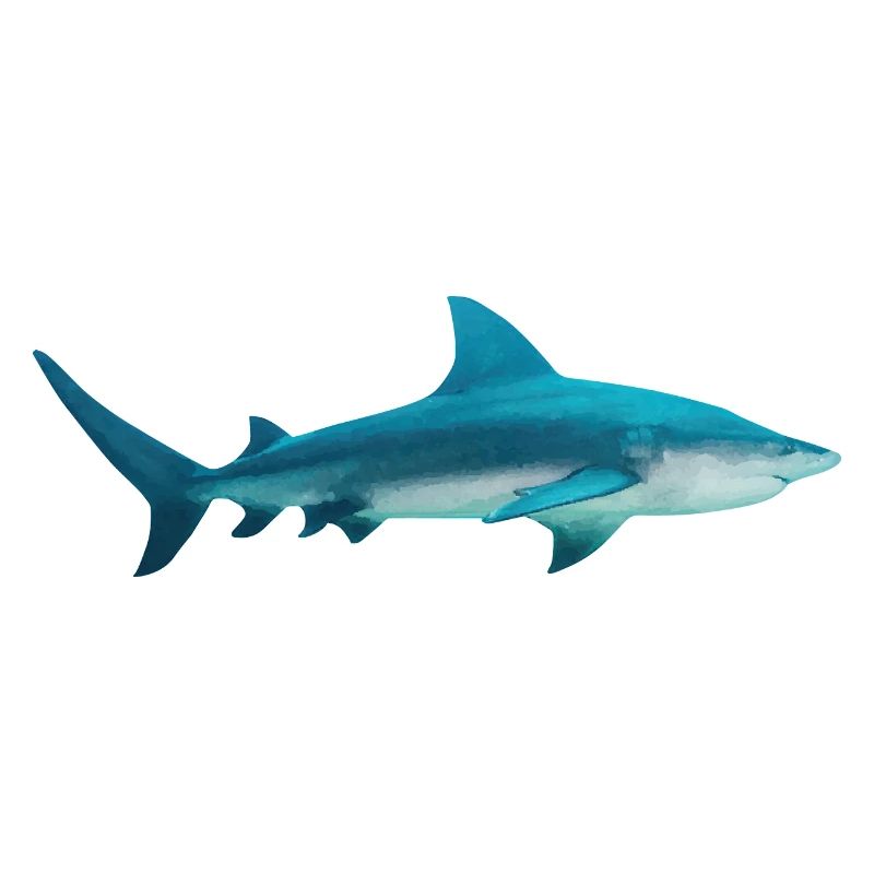 Shark Sea Creature Selachii Shark Ocean Gift