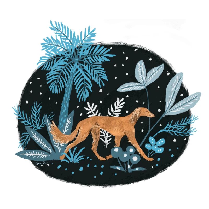 Saluki dans la forêt tropicale