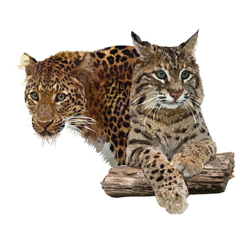 Leopard and lynx