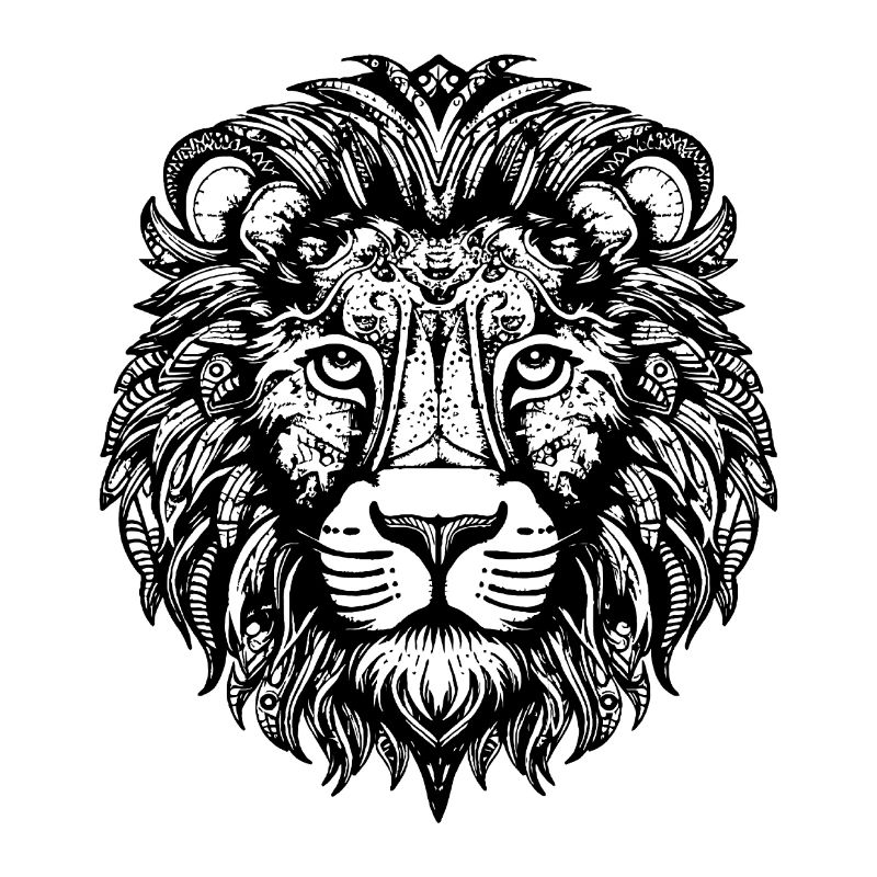 Lion Lion Head Predator