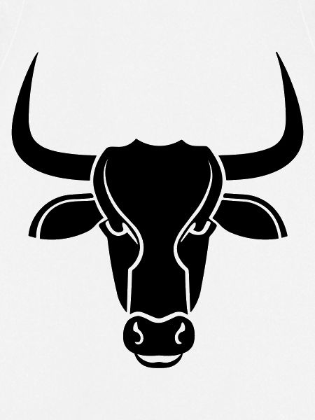 Stier
