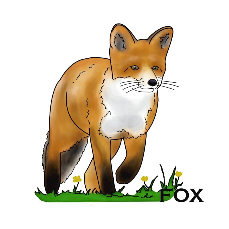 Fox
