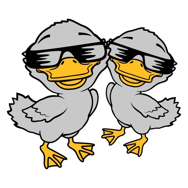 2 lunettes de soleil Cool Duckling