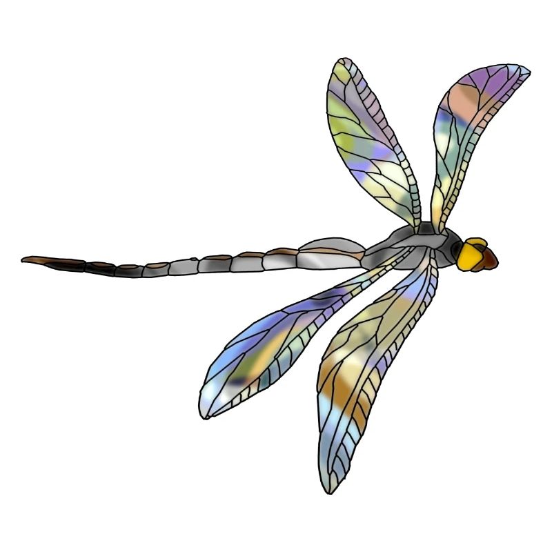Libellule