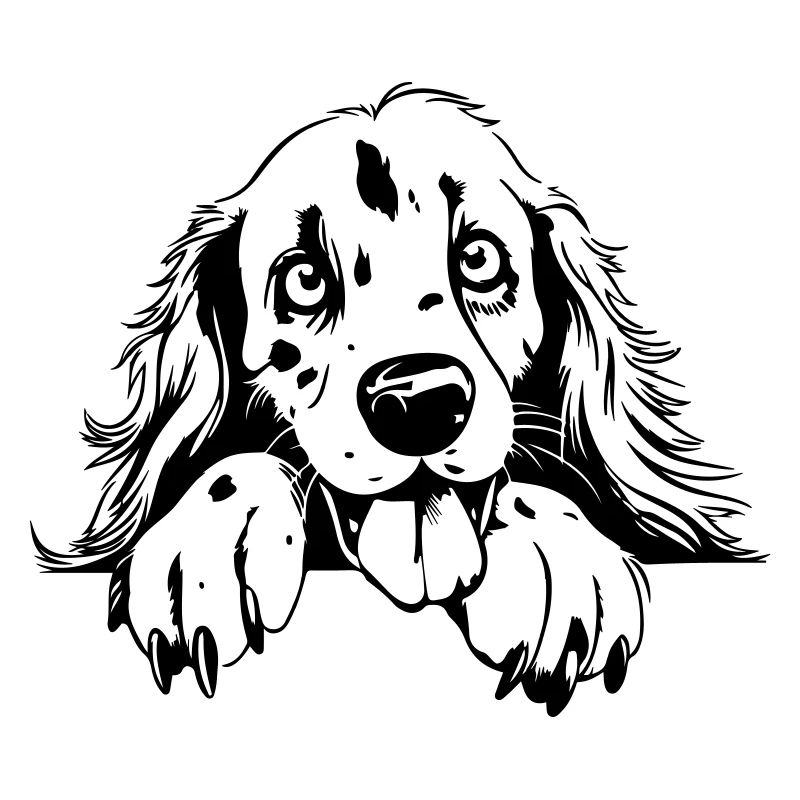 Cute Setter
