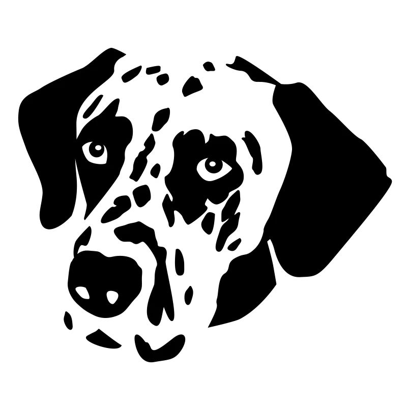 Dalmatiner Hund