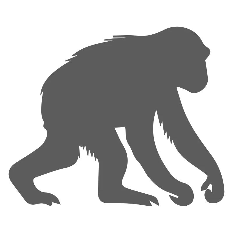 singe