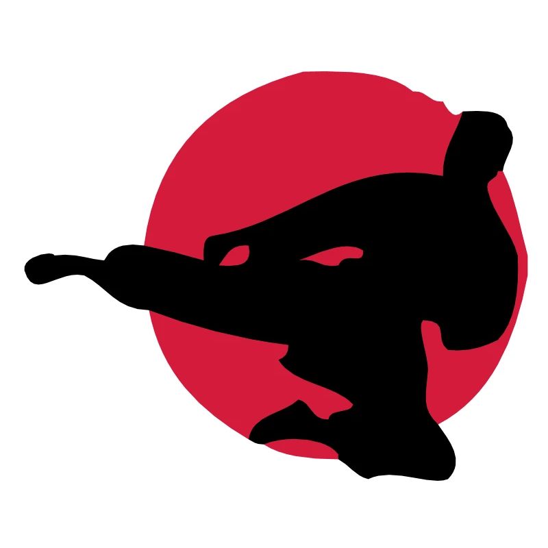 combat