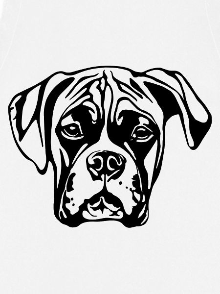 boxer WITHOUT BACKGROUND