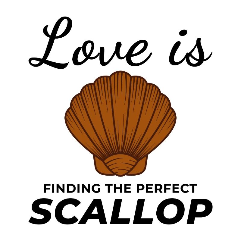Scallop Seashells Collector Beachcomber Shellfish