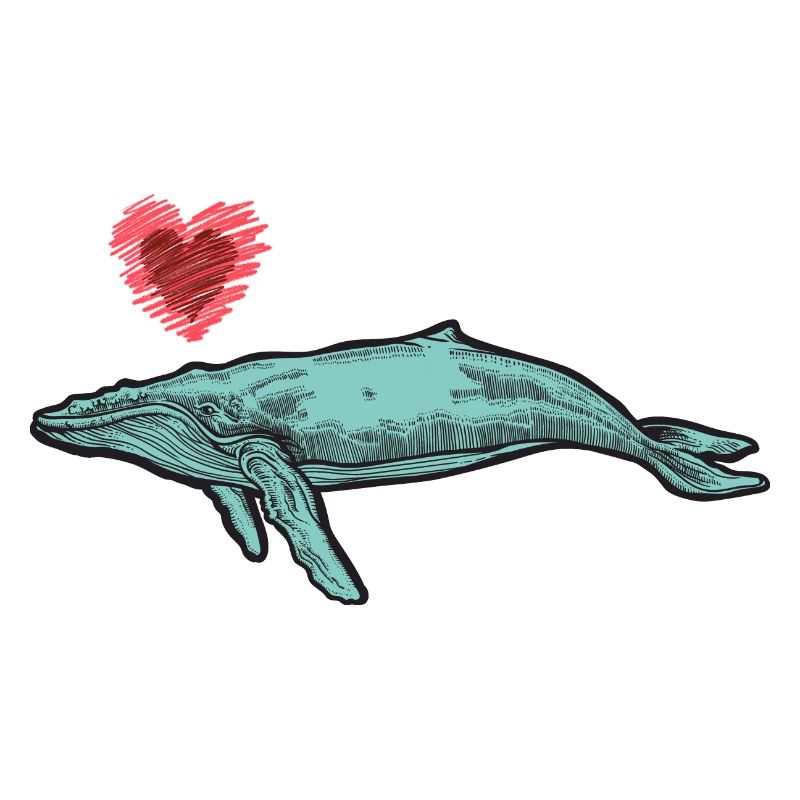 baleines mer poisson eau mer mer cachalot coeur