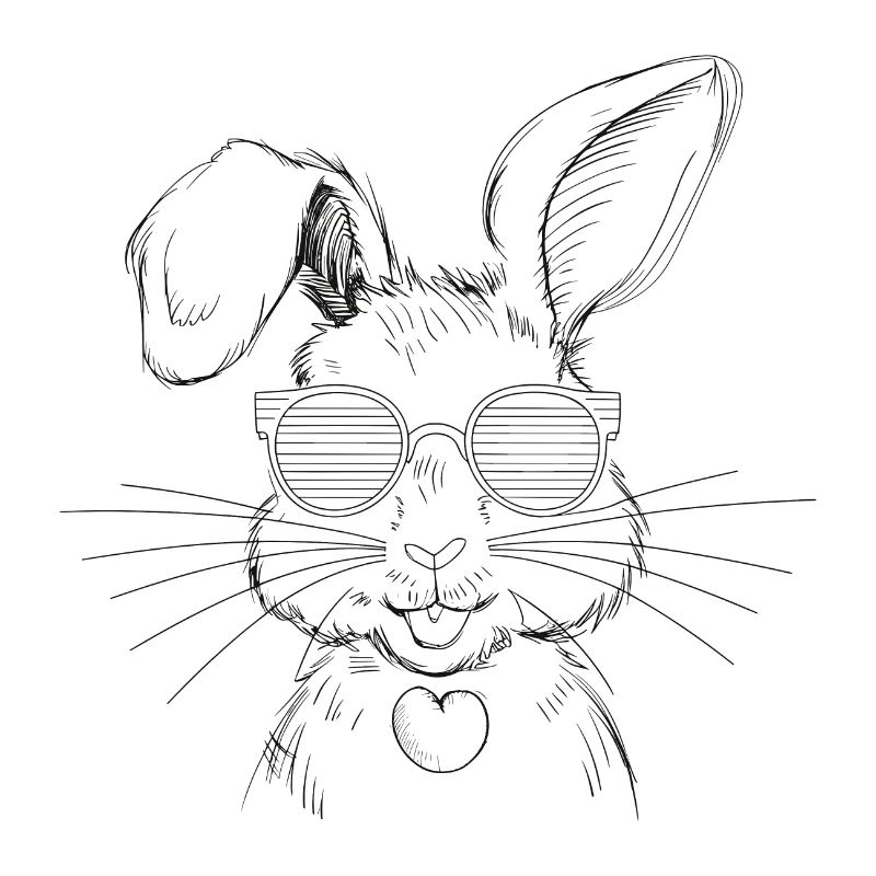Funny Bunny Cute Rabbit Bunny Gift