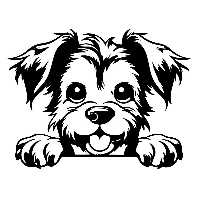 Terrier