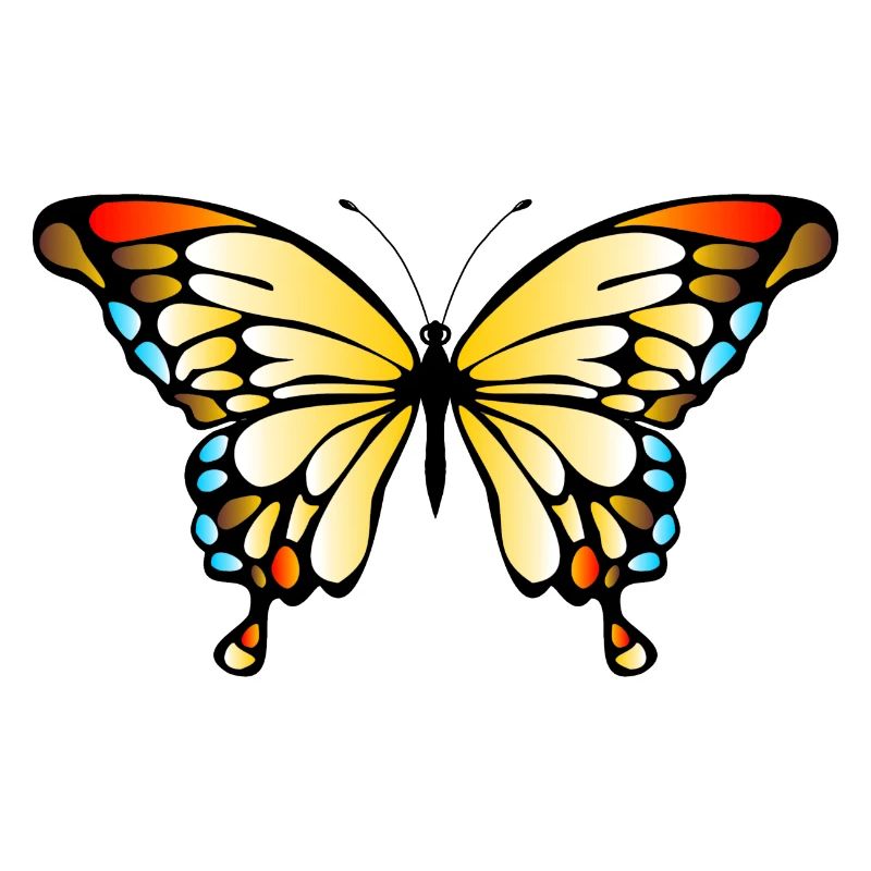 papillon