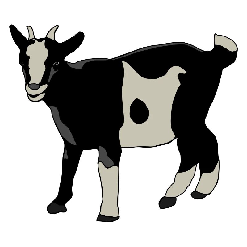Chèvre noir blanc