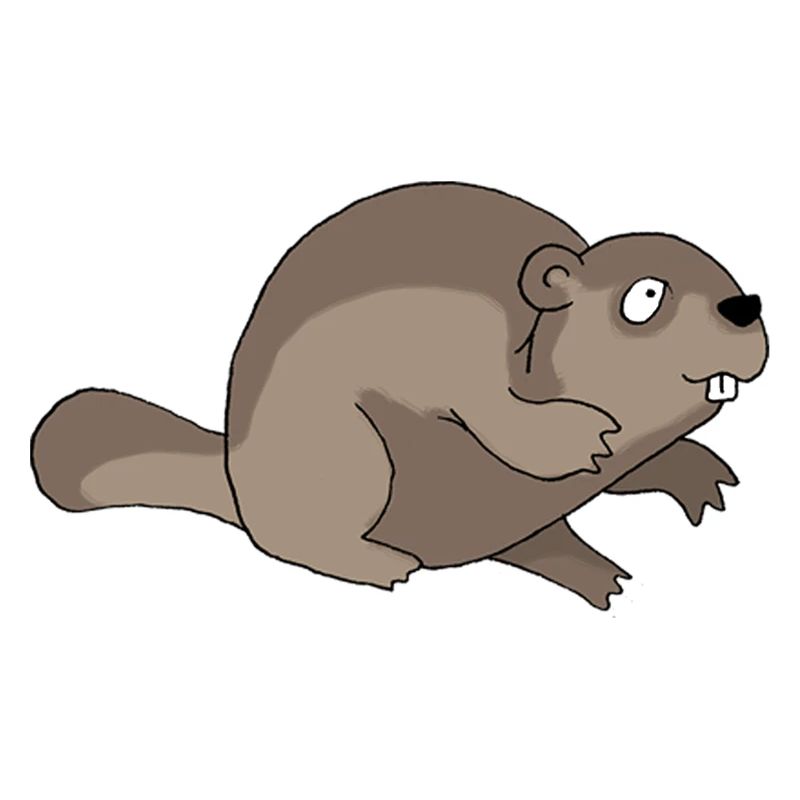 Castor