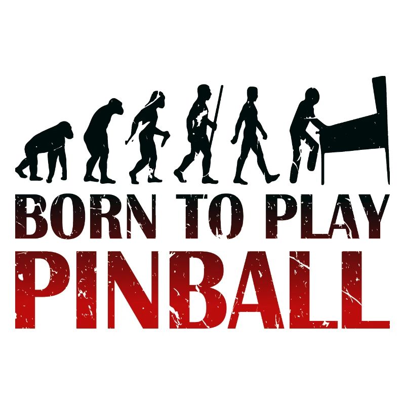 Born to play Pinball - Pinball machine Evolution