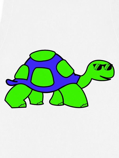 cool turtle