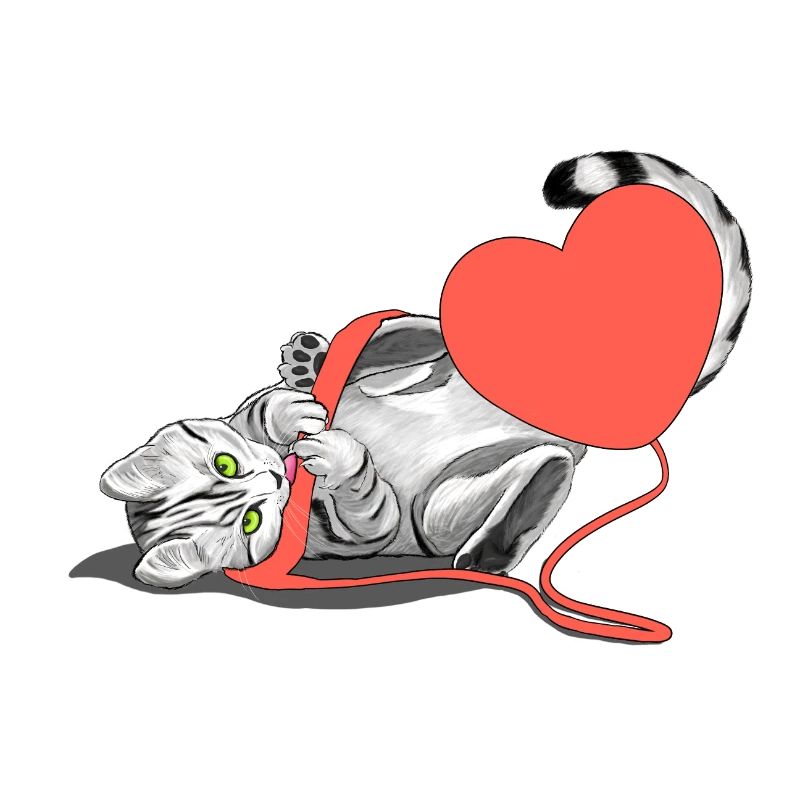 Amour de chat