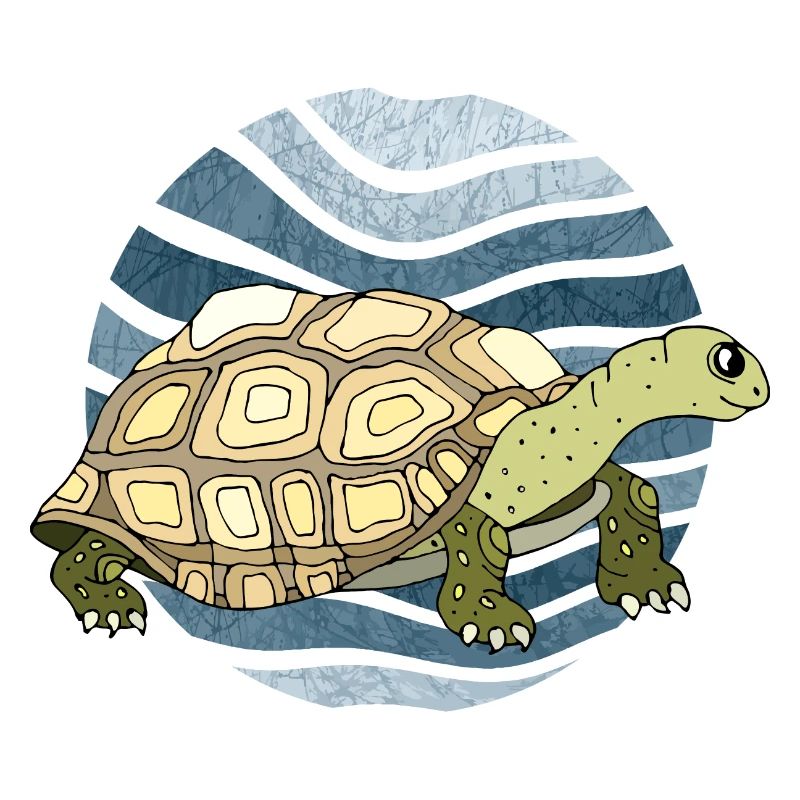 Tortoise
