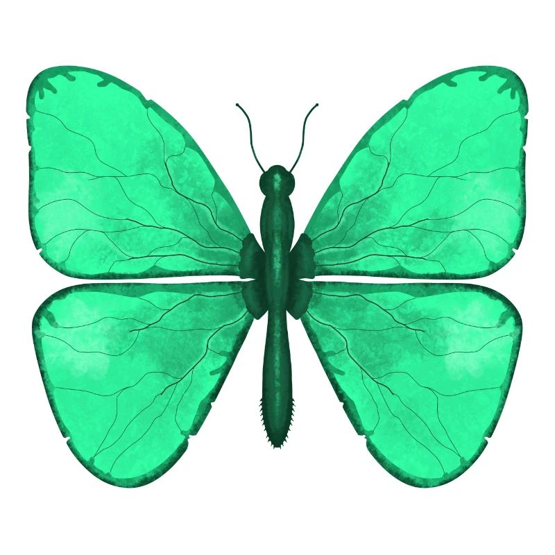 Papillon