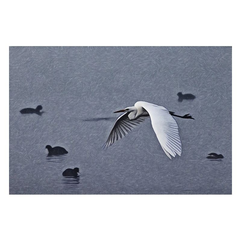 Great egrets in flight