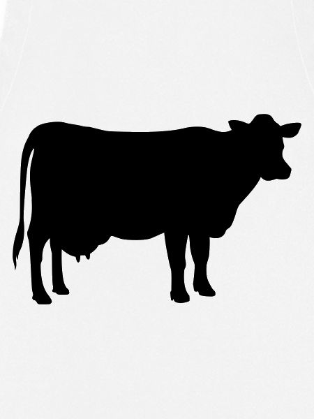 cow animal