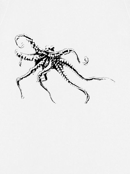 Oktopus
