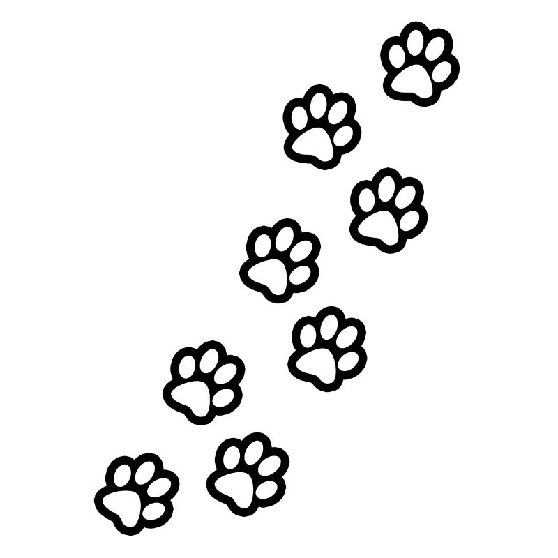 Pattes de chien et de chat