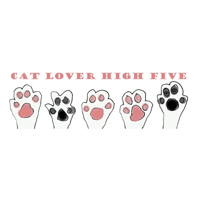 Cat Lover High five