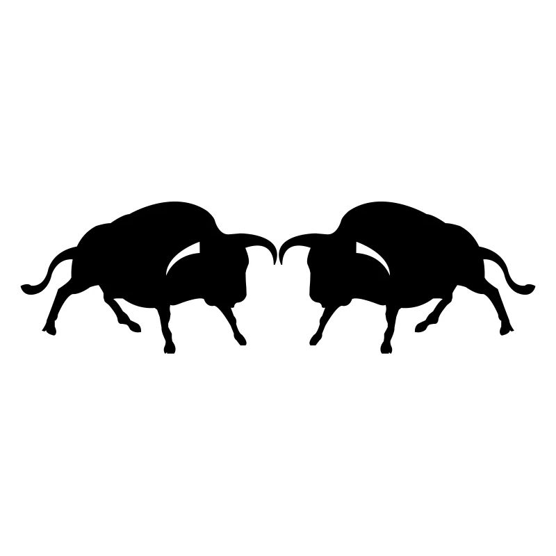 stier2