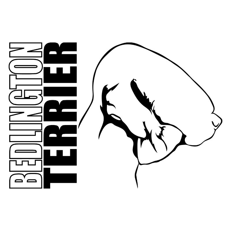 BEDLINGTON TERRIER Profil Chiens Wilsigns