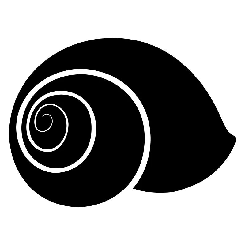 SNAILCASE