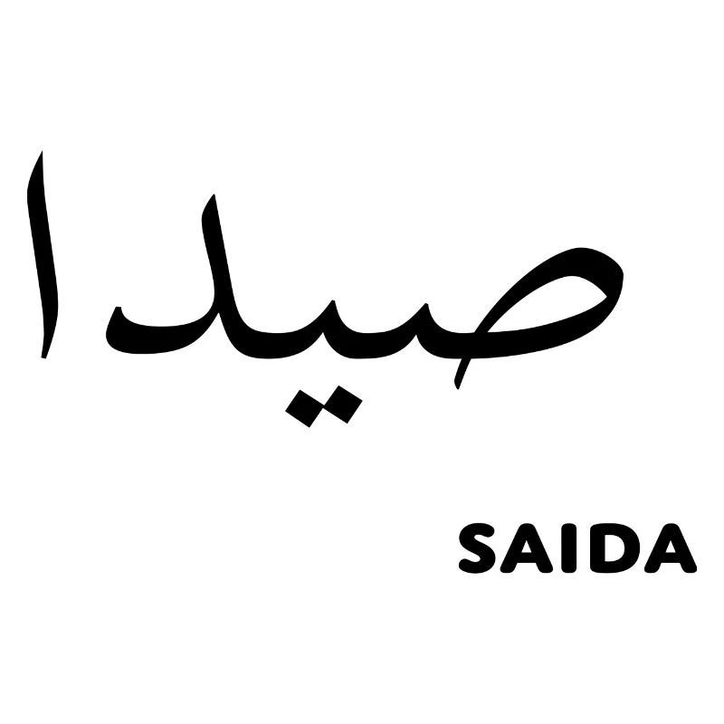 Saida Sidon Liban Liban
