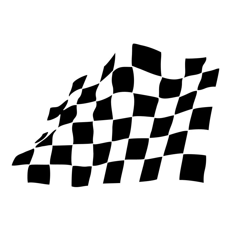 RACE, AIM, FLAG
