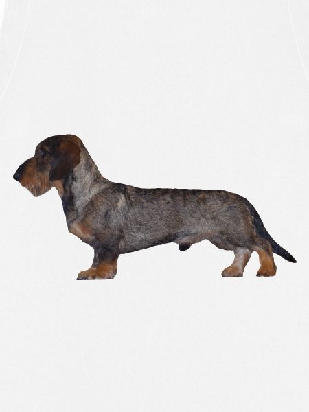 Dackel Rauhaar Dachshund Jagdhund Geschenkidee