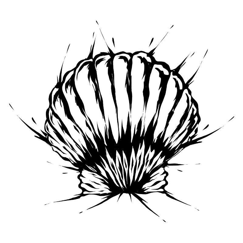 Shell Beach Vacances