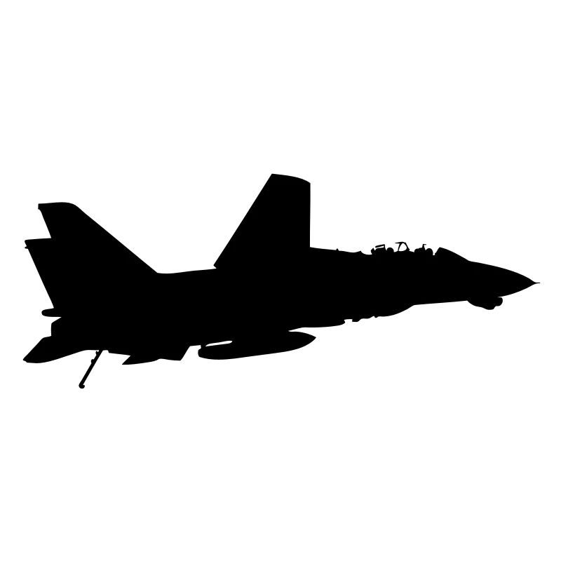 F-14 Tomcat