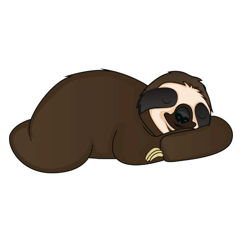 sleeping sloth
