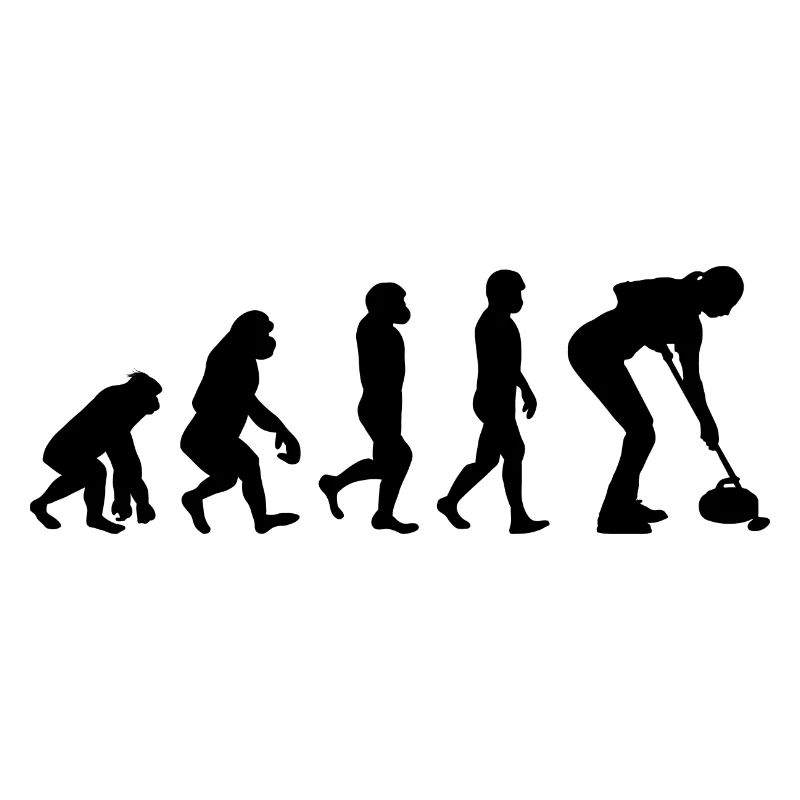 Curling Kehrfächer Winter Eissport Evolution