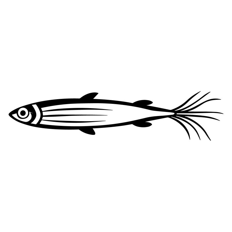 poisson