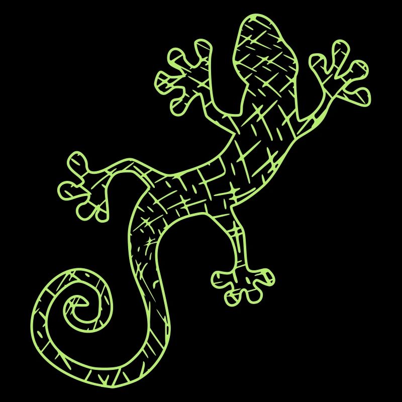 Gekko vert et noir