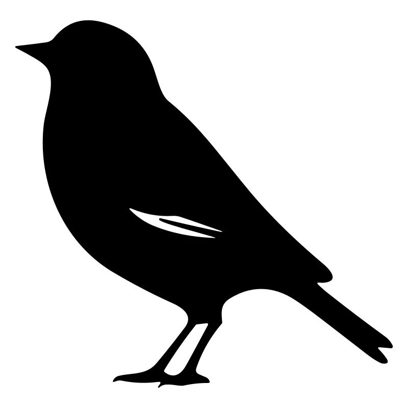 Oiseau