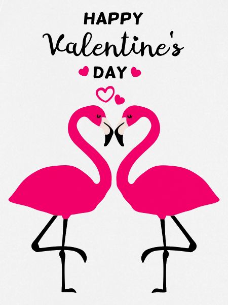 Flamingos Valentine's Day