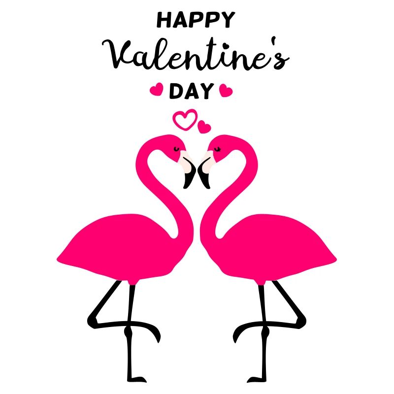 Flamants roses Saint-Valentin
