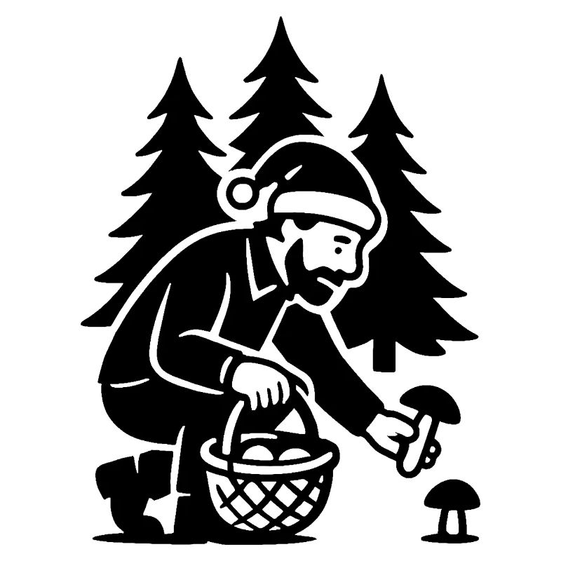 Cueilleur de champignons - Cueillette de champignons de Noël aux cèpes