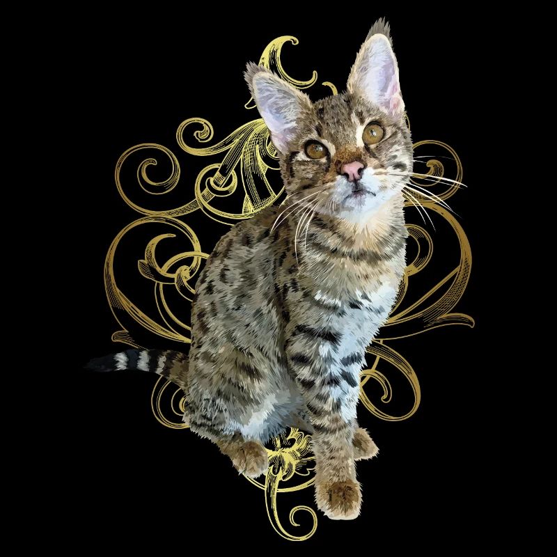 Tabby