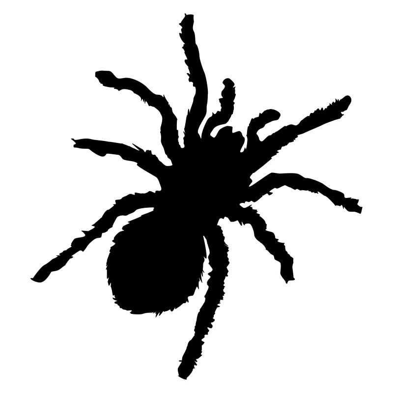 silhouette de spinne