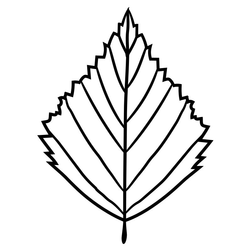 silhouette birch leaf tree plant shape clip art desig