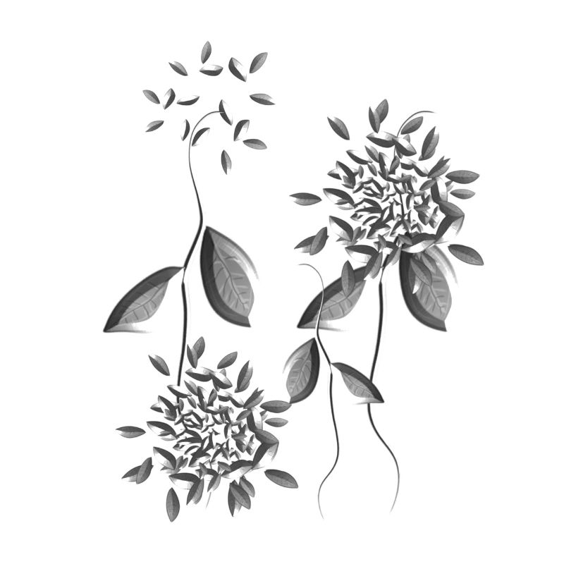 grey plant flowers pattern